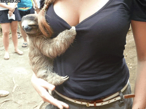 Nice shirt)