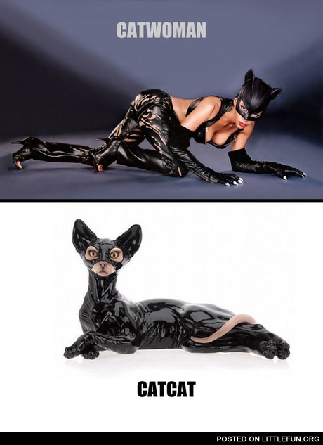 Catwoman costume