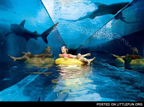 Amazing water slides