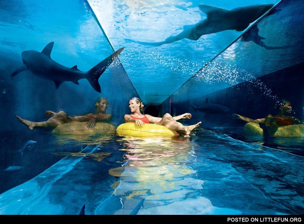 Amazing water slides