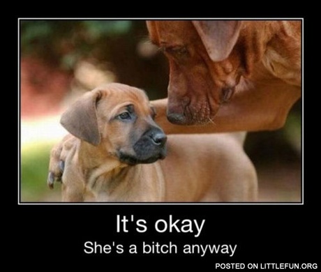 It's ok, she is a b*tch anyway.