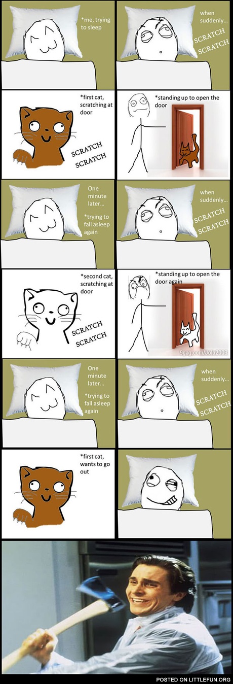 Cat behavior