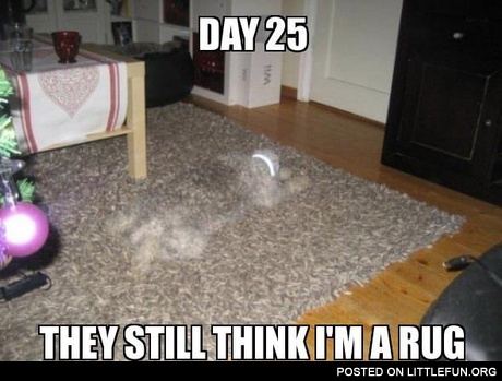 Day 25
