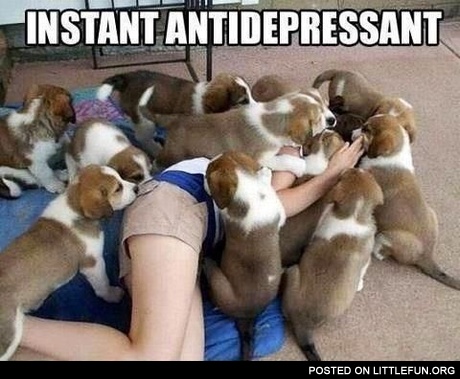 Instant antidepressant