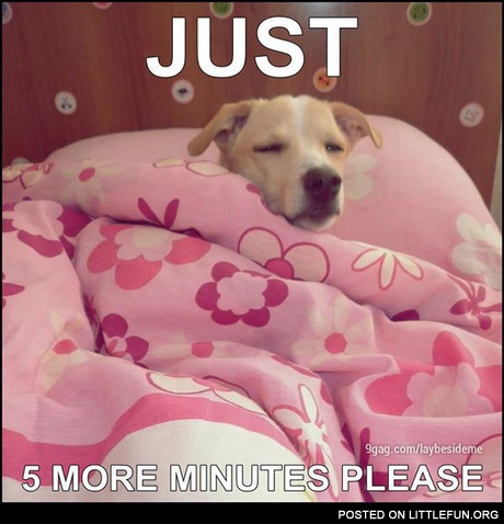 5 more minutes please