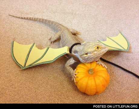 Dragon costume