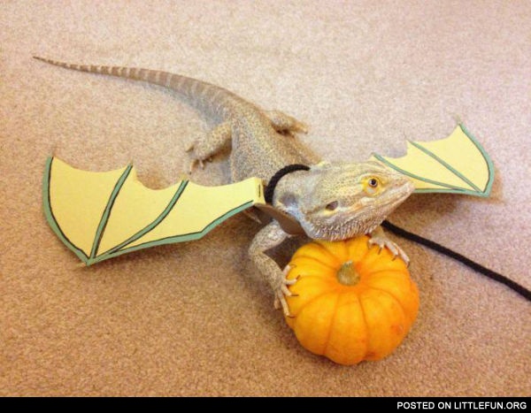 Dragon costume