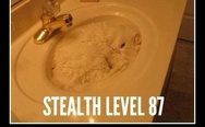 Stealth level 87