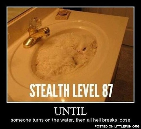 Stealth level 87