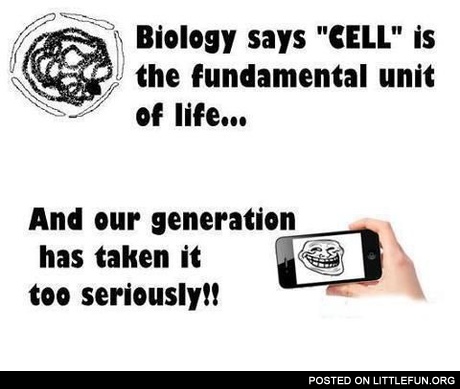 Cell phone