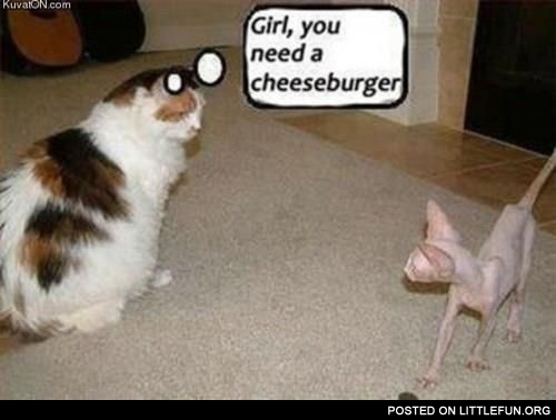 Girl, you need a cheeseburger
