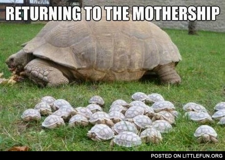 Returning to the mothership