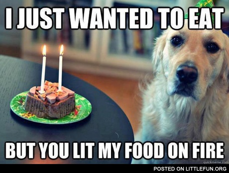 I just wanted to eat, but you lit my food on fire.