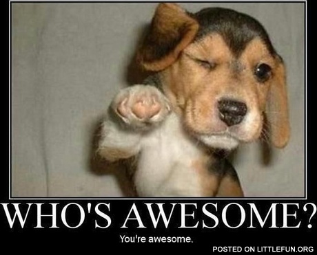 Who's awesome? You're awesome.