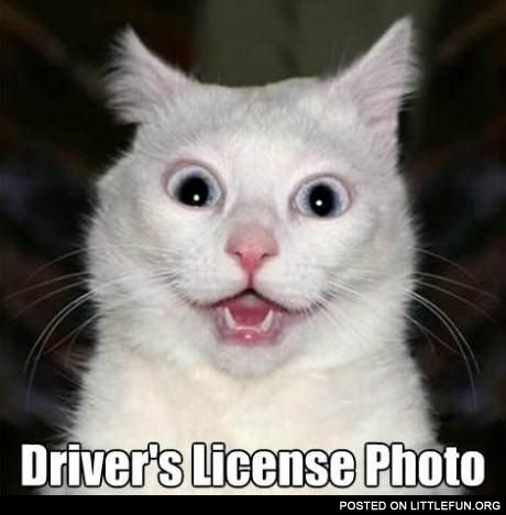 Driver's license photo