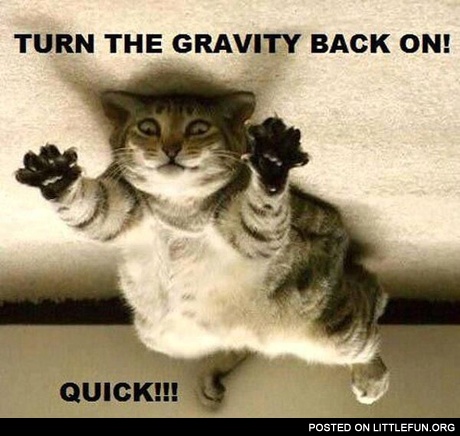Turn the gravity back on!