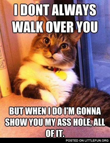 I don't always walk over you, but when I do I'm gonna show you my ass hole, all of it.