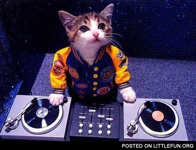 DJ Cat