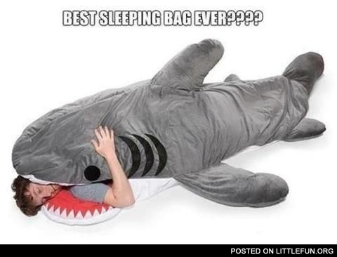 Best sleeping bag ever. Shark sleeping bag.