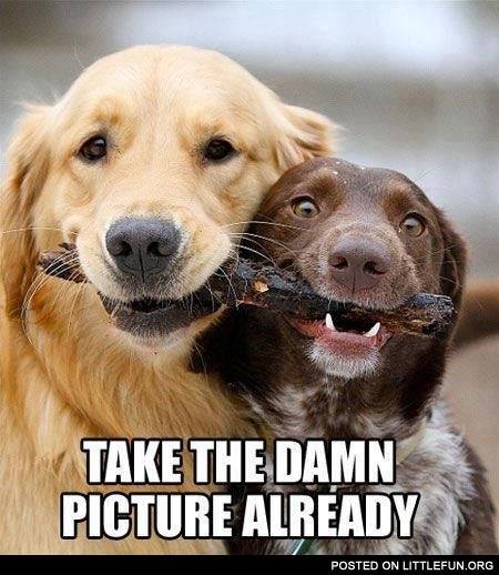Take the damn picture already