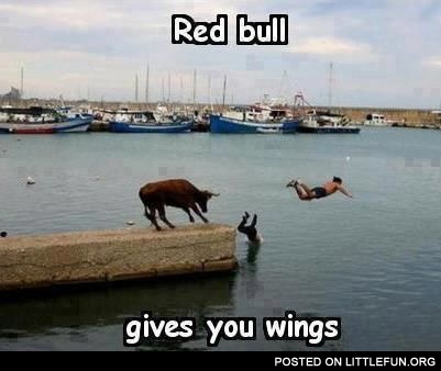 Red bull gives you wings