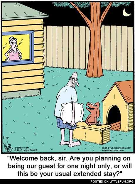 Dog house. Hotel at home.