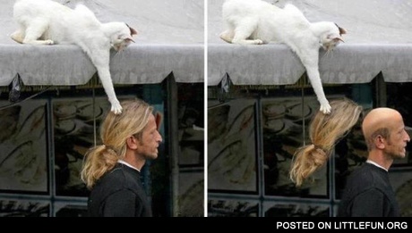 I like your hair, dude. Oops.