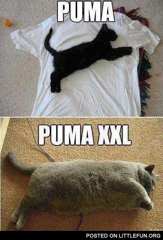 LittleFun - Puma XXL