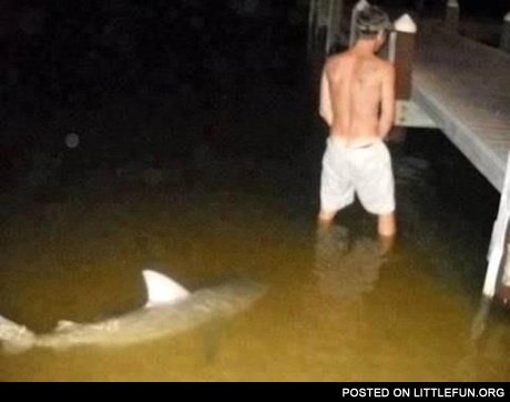 In the sea. Shark: Don't p*ss in my territory!