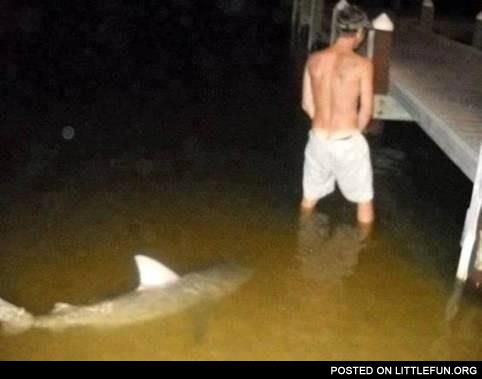 In the sea. Shark: Don't p*ss in my territory!