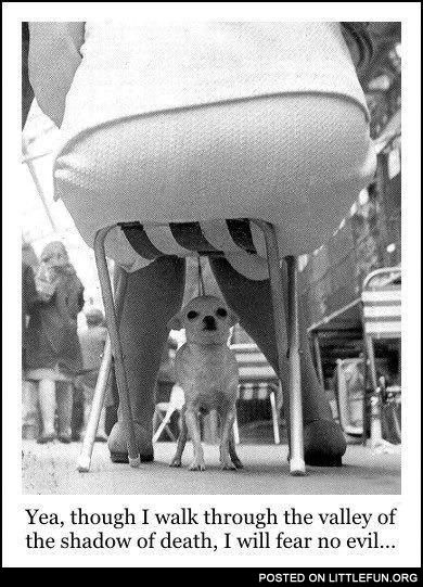 I walk through the valley of the shadow of death, I will fear no evil.