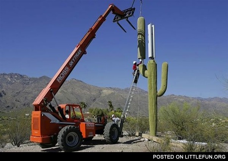 Cell Phone Tower in Arizona