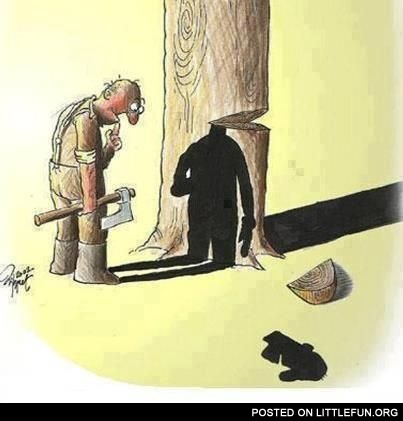Woodcutter and a bit of philosophy
