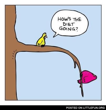 How's the diet going?