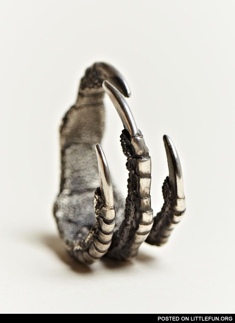 Ann Demeulemeester Claw Ring