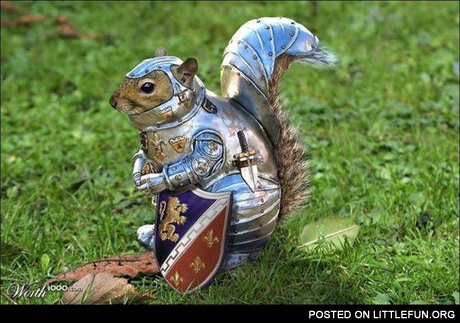 Squirrel in armor.
