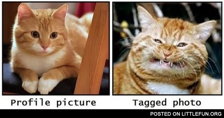 Profile picture and tagged photo