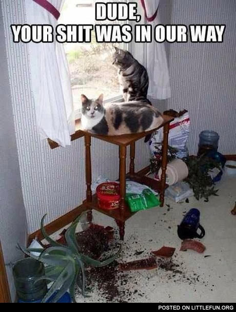 Dude, your sh*t was in our way.
