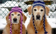 Winter hats