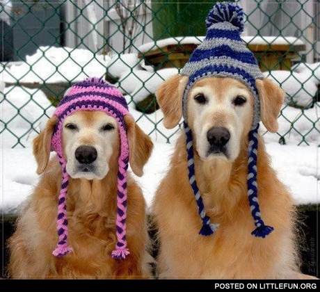 Winter hats