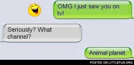 OMG, I just saw you on TV!