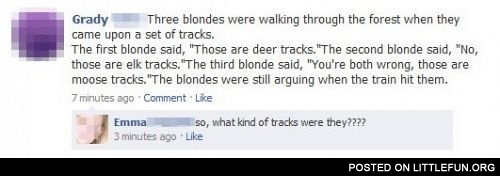 Three blondes were walking through the forest