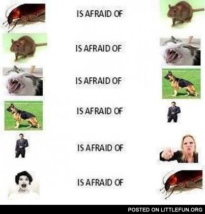 Food chain