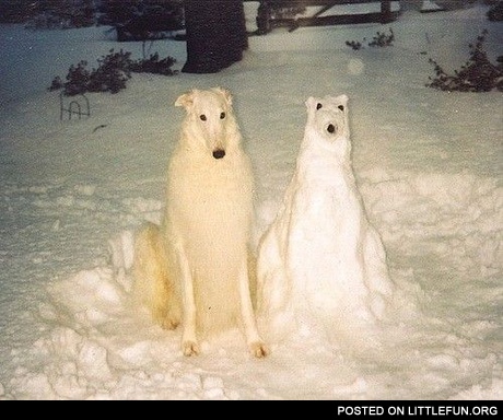 Snow doggy