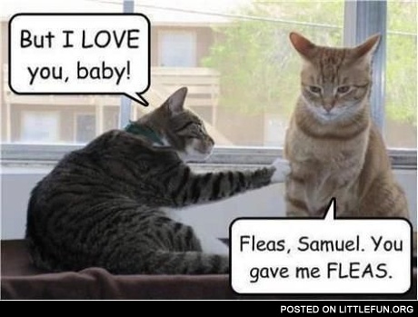 But I love you, baby. Fleas, Samuel. You gave me fleas.