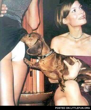 Naughty dog