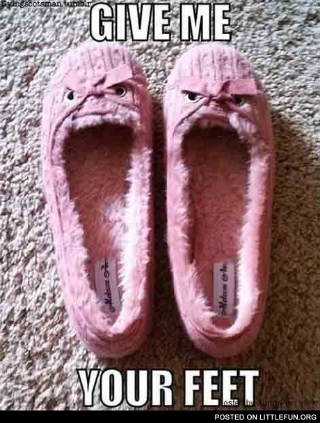 Evil slippers. Give me your feet.