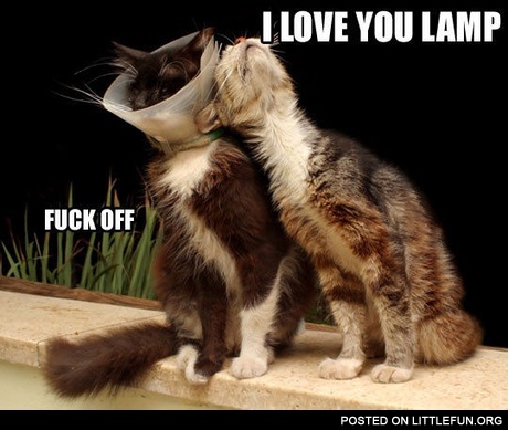 I love you lamp