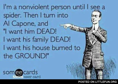 I'm a nonviolent person until I see a spider.