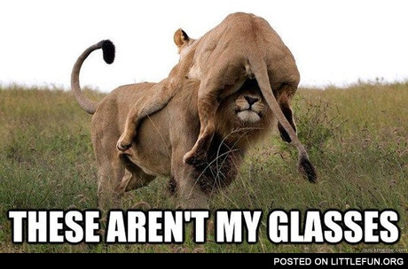 These aren't my glasses